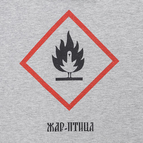 Футболка «Жар-птица», серый меланж - рис 4.